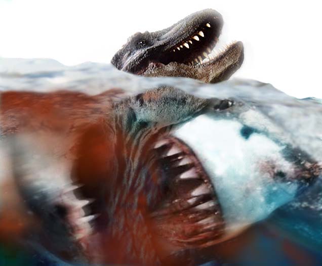 Megalodon_Foto.jpg